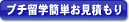 プチ留学簡単お見積もり